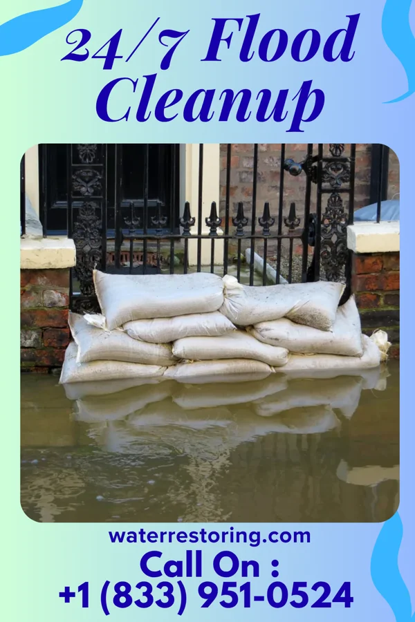 24/7 Flood Cleanup in Granger, TX