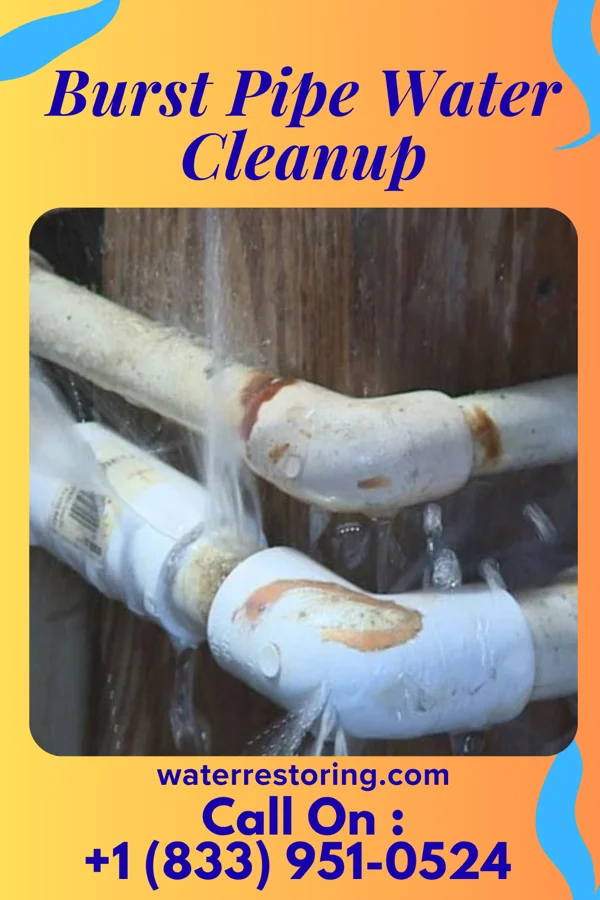 Burst Pipe Water Cleanup in Granger, TX
