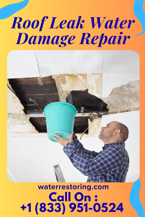 Roof Leak Water Damage Repair in Granger, TX