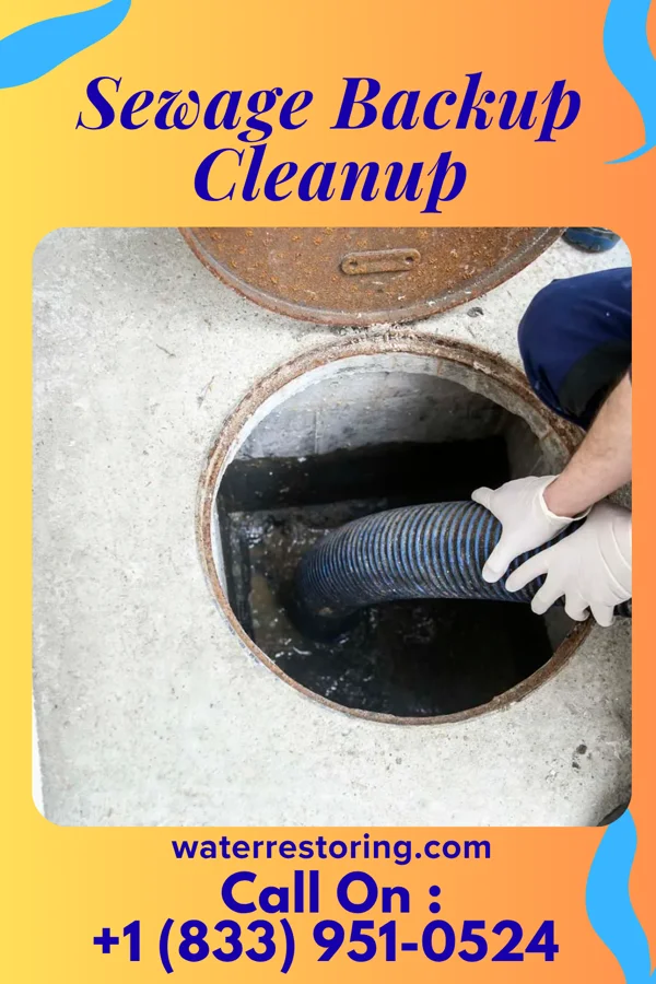 Sewage Backup Cleanup in Granger, TX