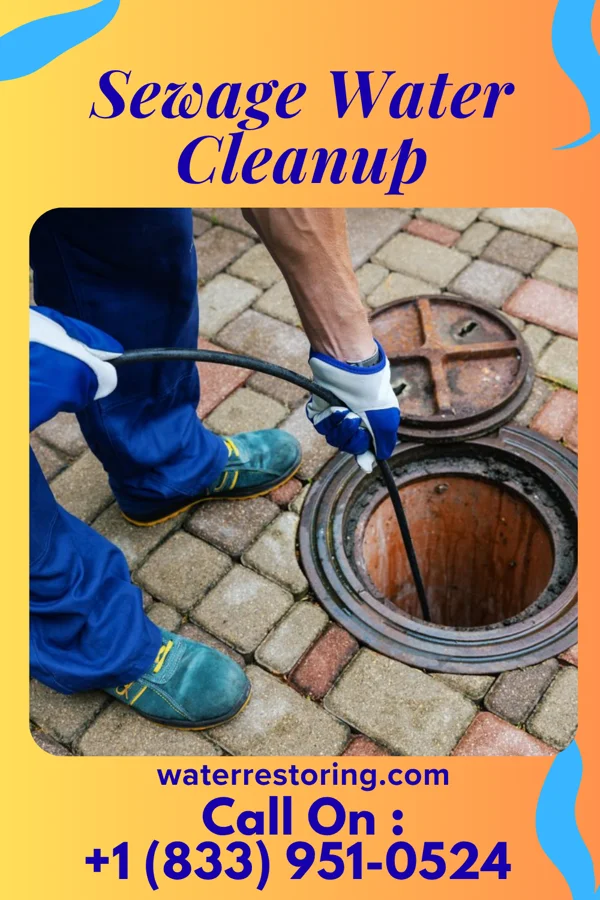 Sewage Water Cleanup in Granger, TX