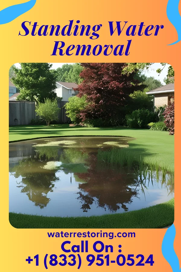 Standing Water Removal in Granger, TX